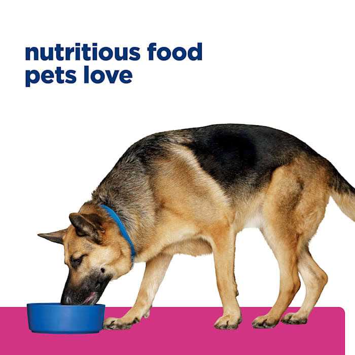 Hill&s Prescription Diet Gastrointestinal Biome Digestive Fiber Care Chicken Dry Dog Food - Healthber