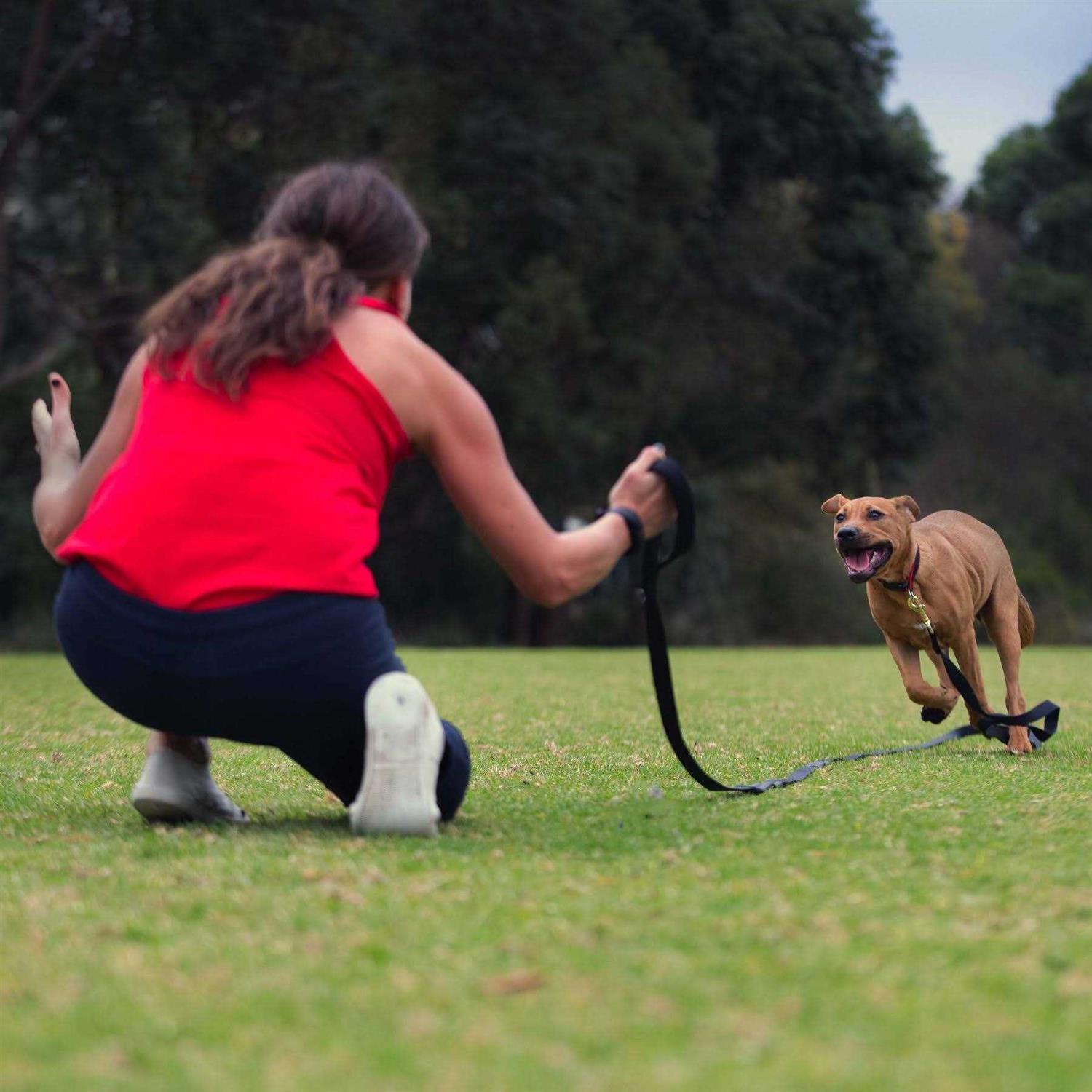 Canny Recall Leash long width - Healthber