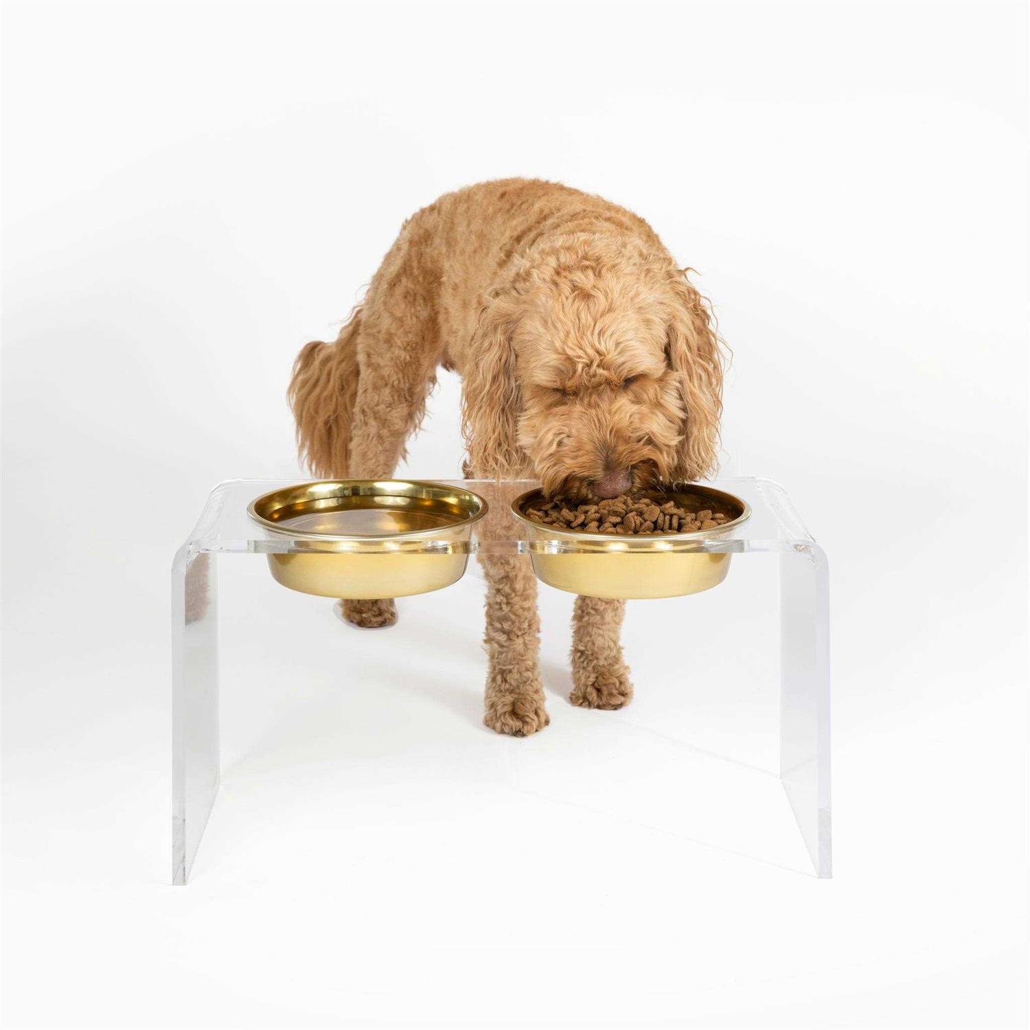 Hiddin Large Clear Double Bowl Pet Feeder - Healthber
