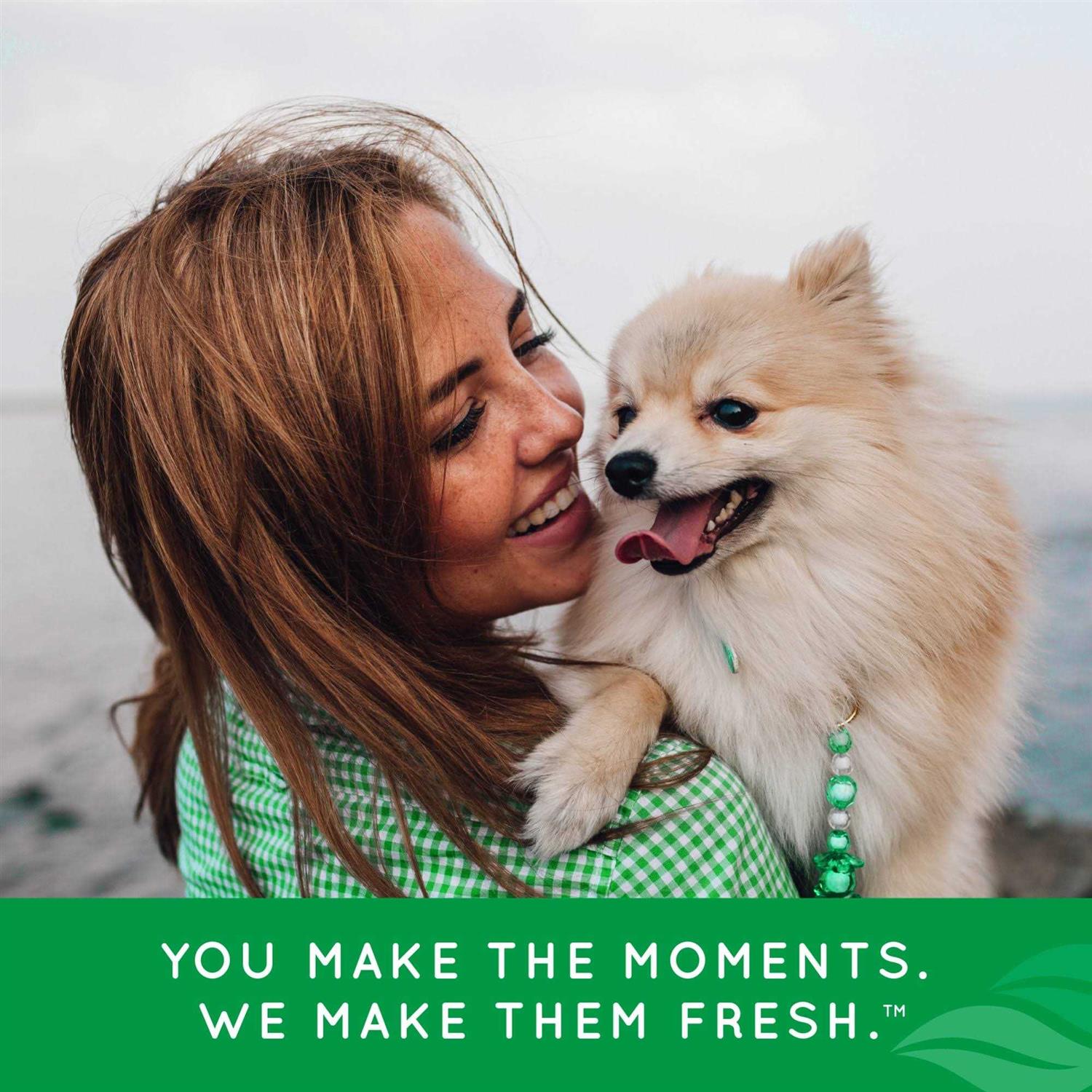 Tropiclean Fresh Breath Triple Flex Toothbrush for Large Dogs - Healthber