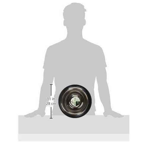 Iconic Pet Slow Feed Stainless Steel Pet Bowl - Healthber