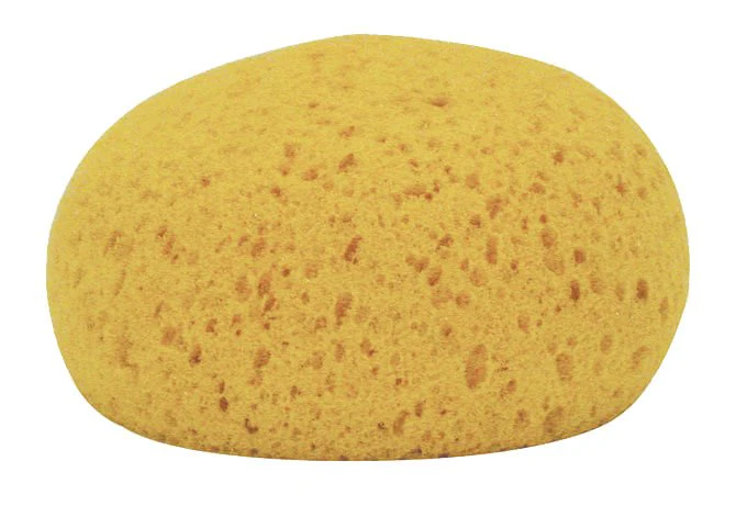 Decker Tack Sponges, 12pk - Healthber