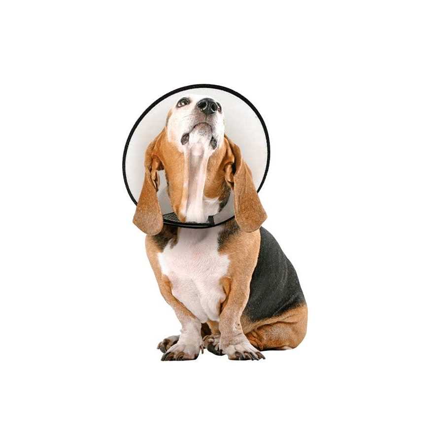 Vet Worthy Protective Cone Collar - Healthber