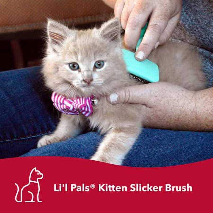 Coastal Pet Products Lil’l Pals Kitten Slicker Brush with Coated Tips - Healthber