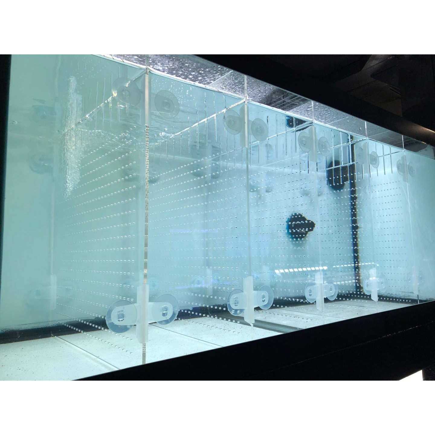 RA AquaTech Acrylic Aquarium Divider Kit 20L 20H 29 40B 125gal Fish Tank with Suction Cups - Healthber