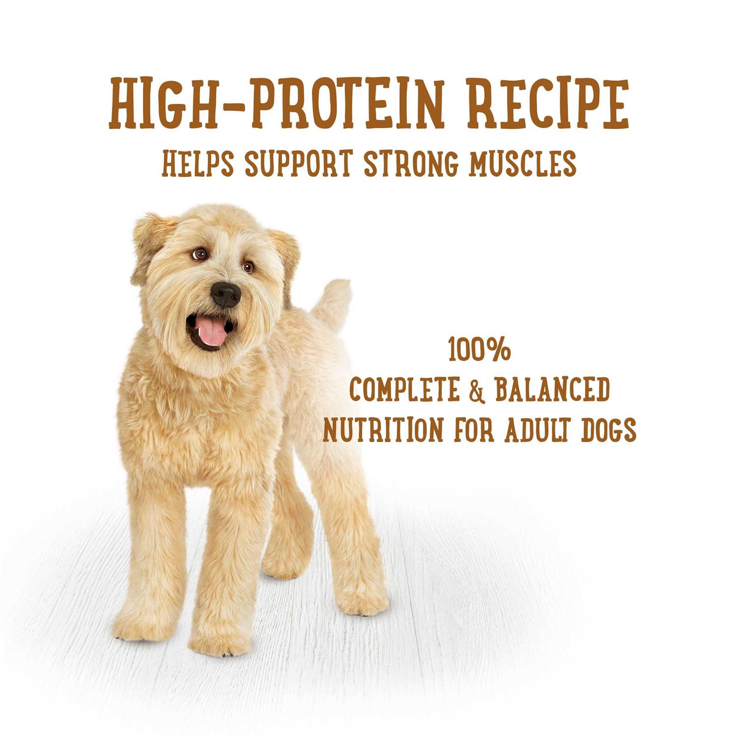 Purina Beneful Prepared Meals Savory Rice & Lamb Stew Wet Dog Food - Healthber