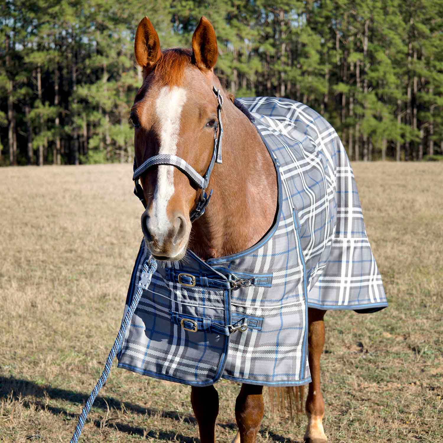Poplar Head Refuge 1200 Denier Turnout Sheet, 0 Gram, Hamilton Blue & Slate Plaid - Healthber