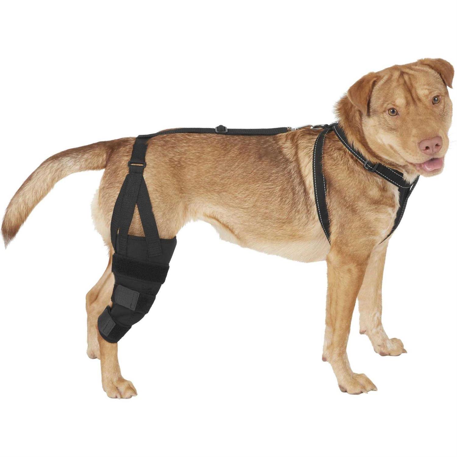 Labra Dog Canine K9 Knee Stifle Brace Wrap Metal Hinged Flexible Support Treat ACL CCL Luxating Patella Cruciate Ligament Sprain Strain Tear Injuries - Healthber