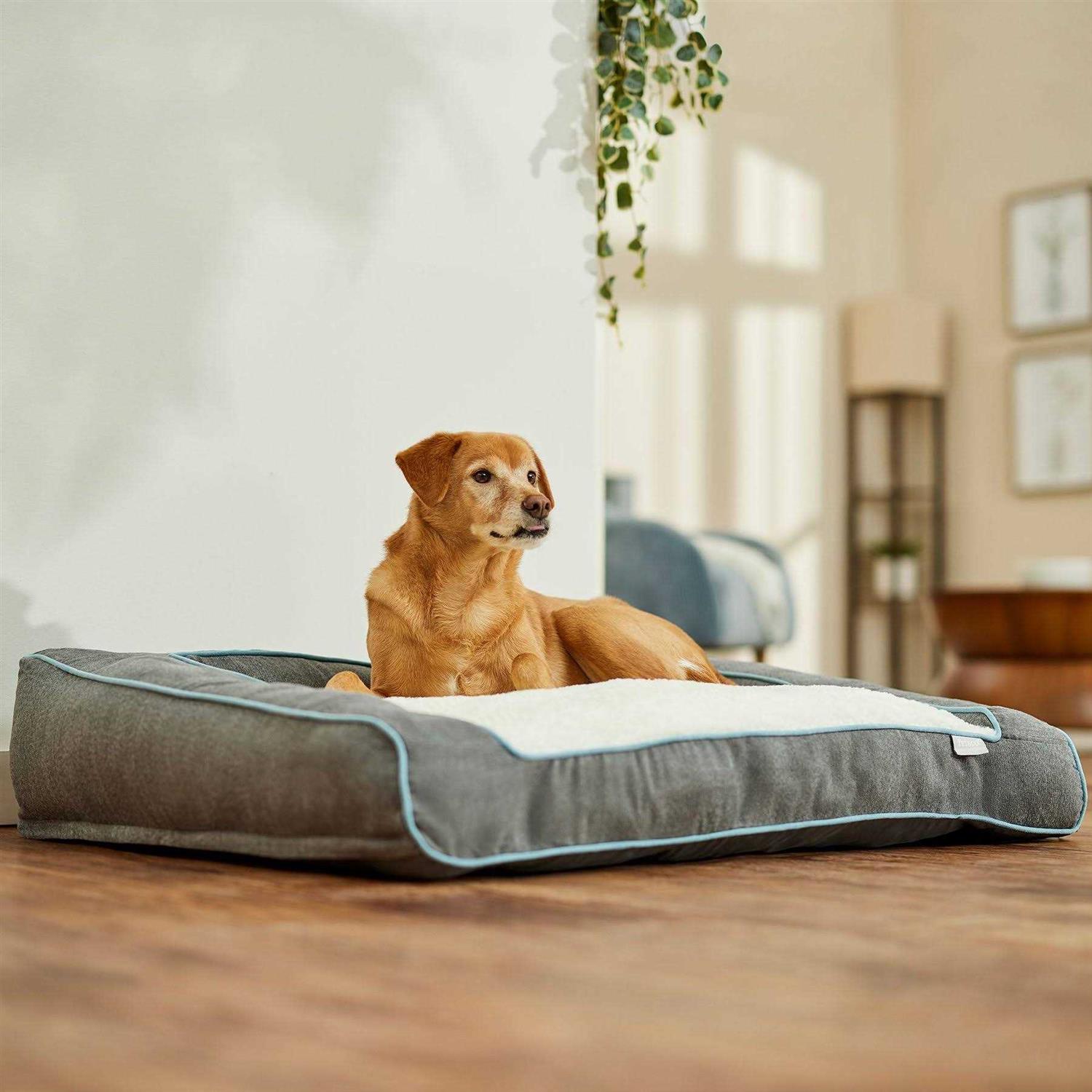 Frisco Orthopedic Bolster Dog Bed w/Removable COVER - Healthber