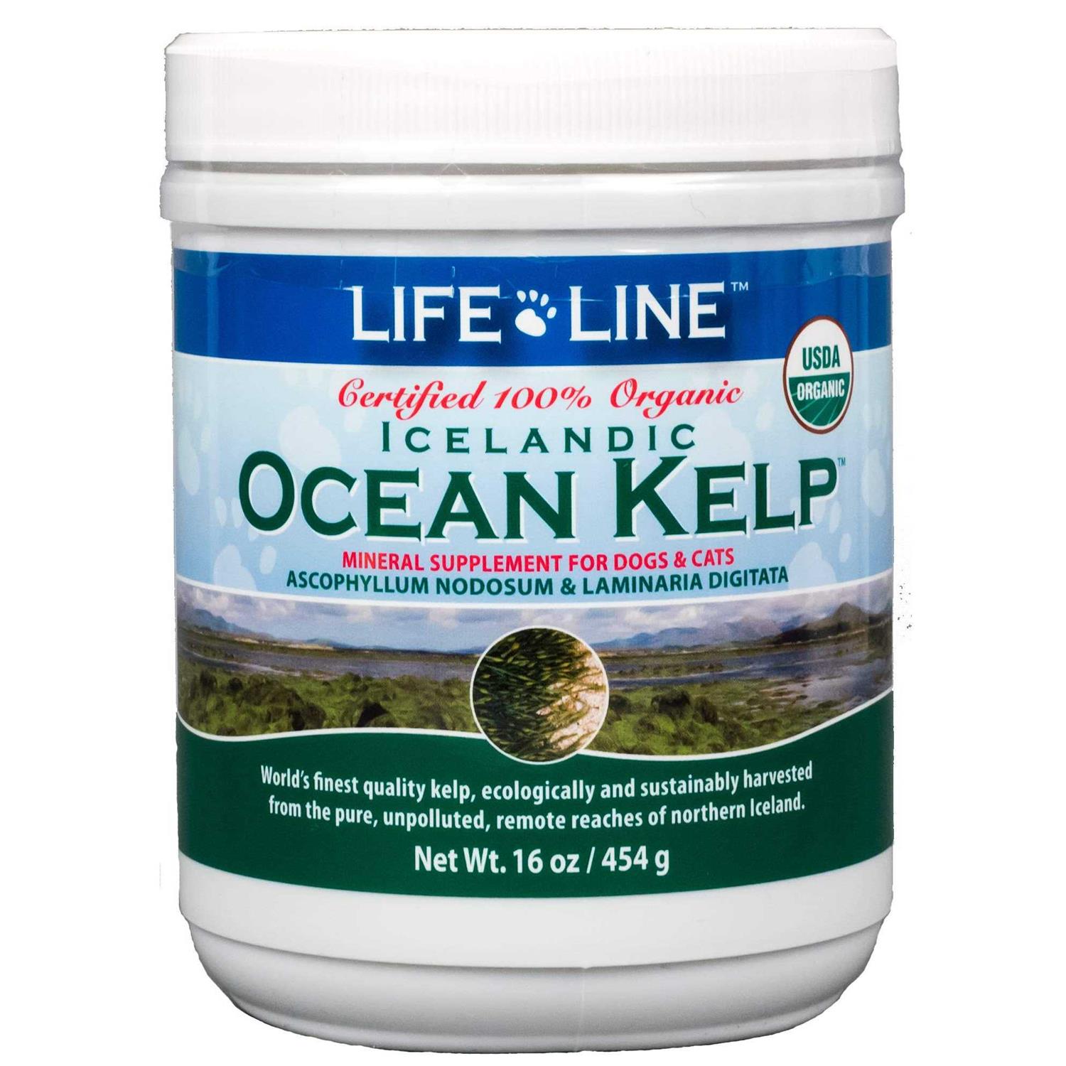 Life Line Pet Nutrition Life Line Ocean Kelp Dog & Cat Supplement - Healthber