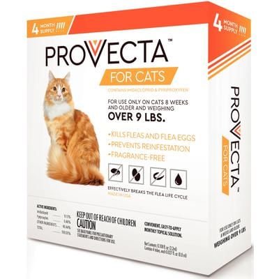 Provecta II for Cats, 4 Dose - Healthber