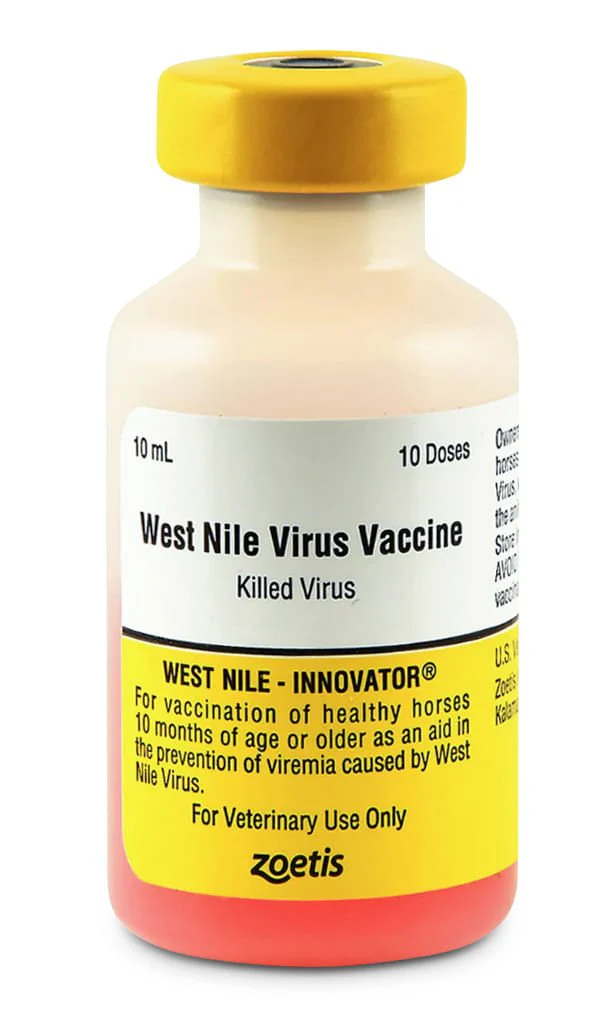 West Nile Innovator - Healthber