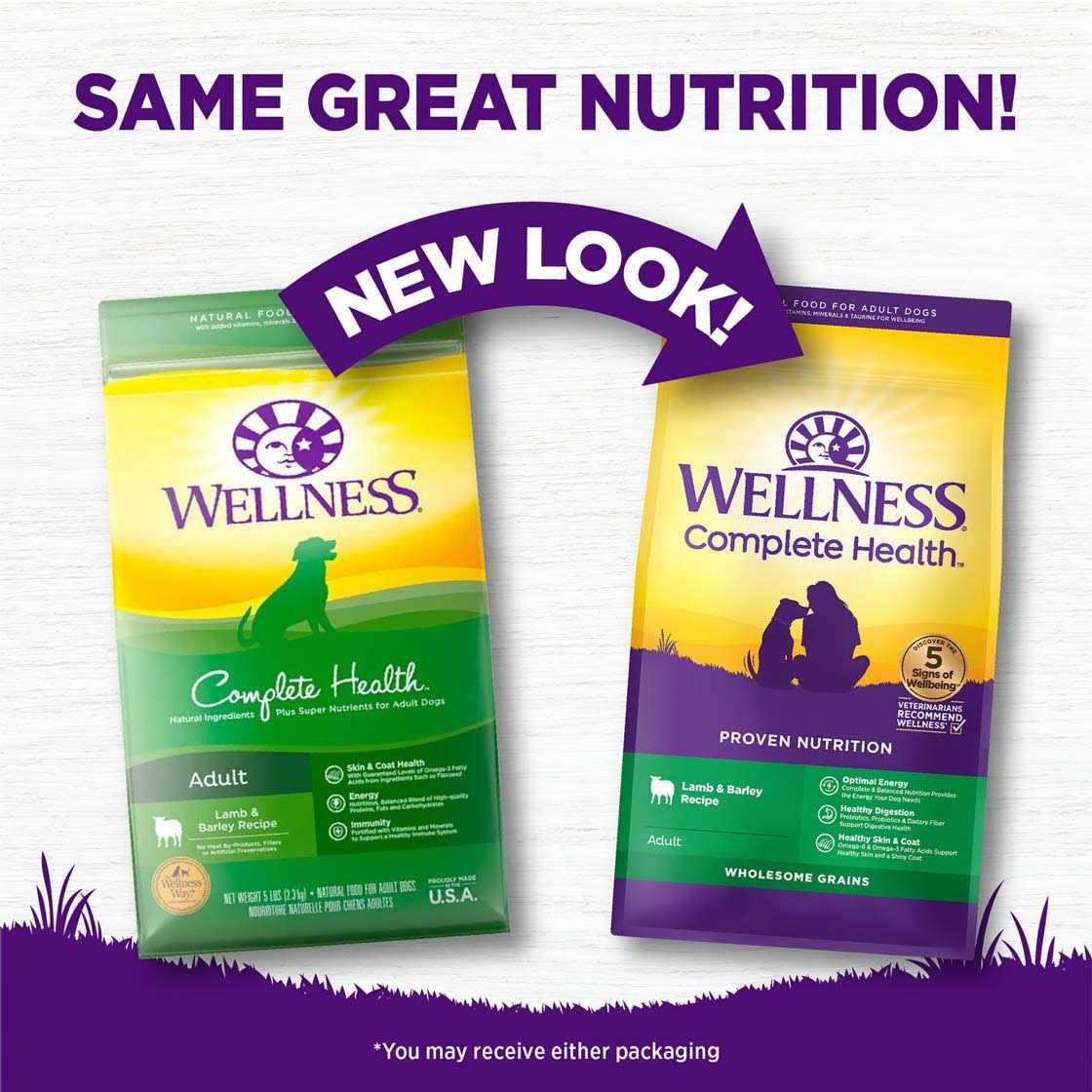 Wellness Complete Health Lamb & Barley Dry Dog Food - Healthber