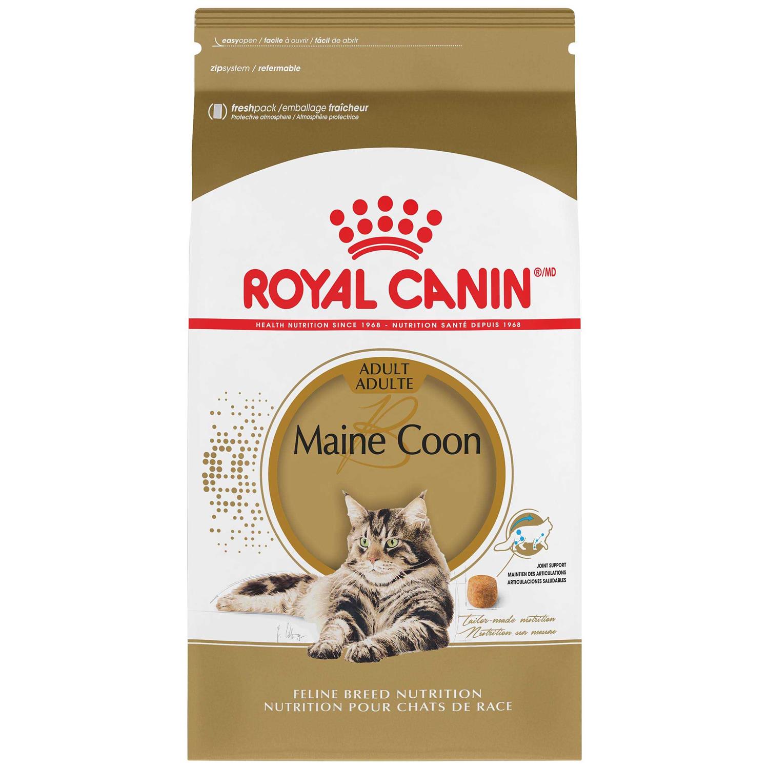 Royal Canin Feline Breed Nutrition Maine Coon Dry Cat Food - Healthber