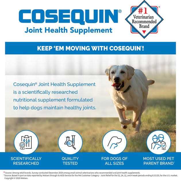 Cosequin DS for Dogs - Healthber