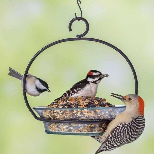 Melody Select Hot Pepper Blend Bird Food 14059 - Healthber