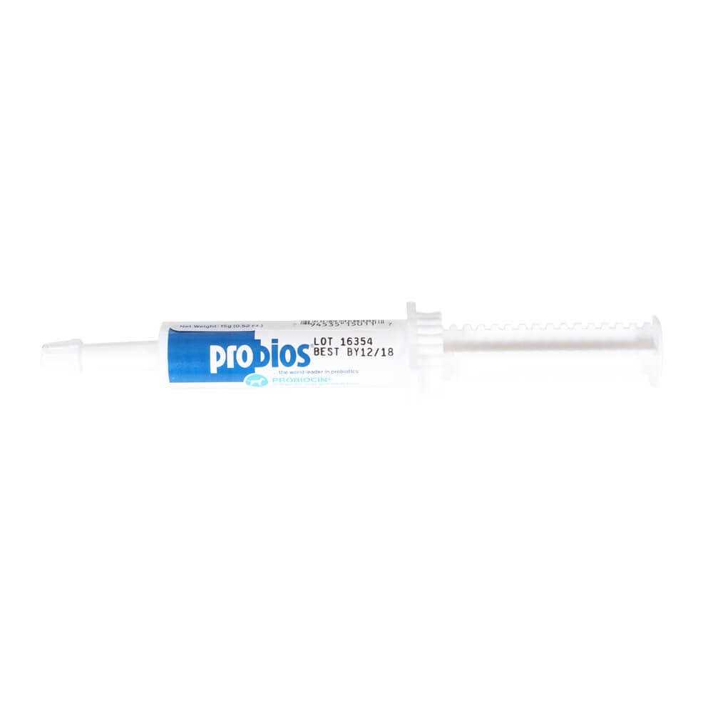 Probiocin Oral Gel for Pets - Healthber