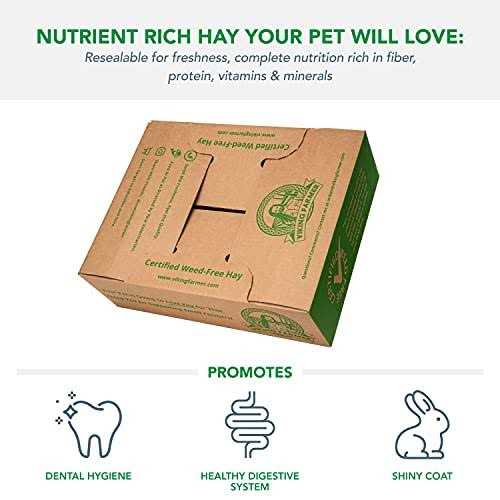 Viking Farmer Alfalfa Hay for Rabbits & Small Pets - Healthber