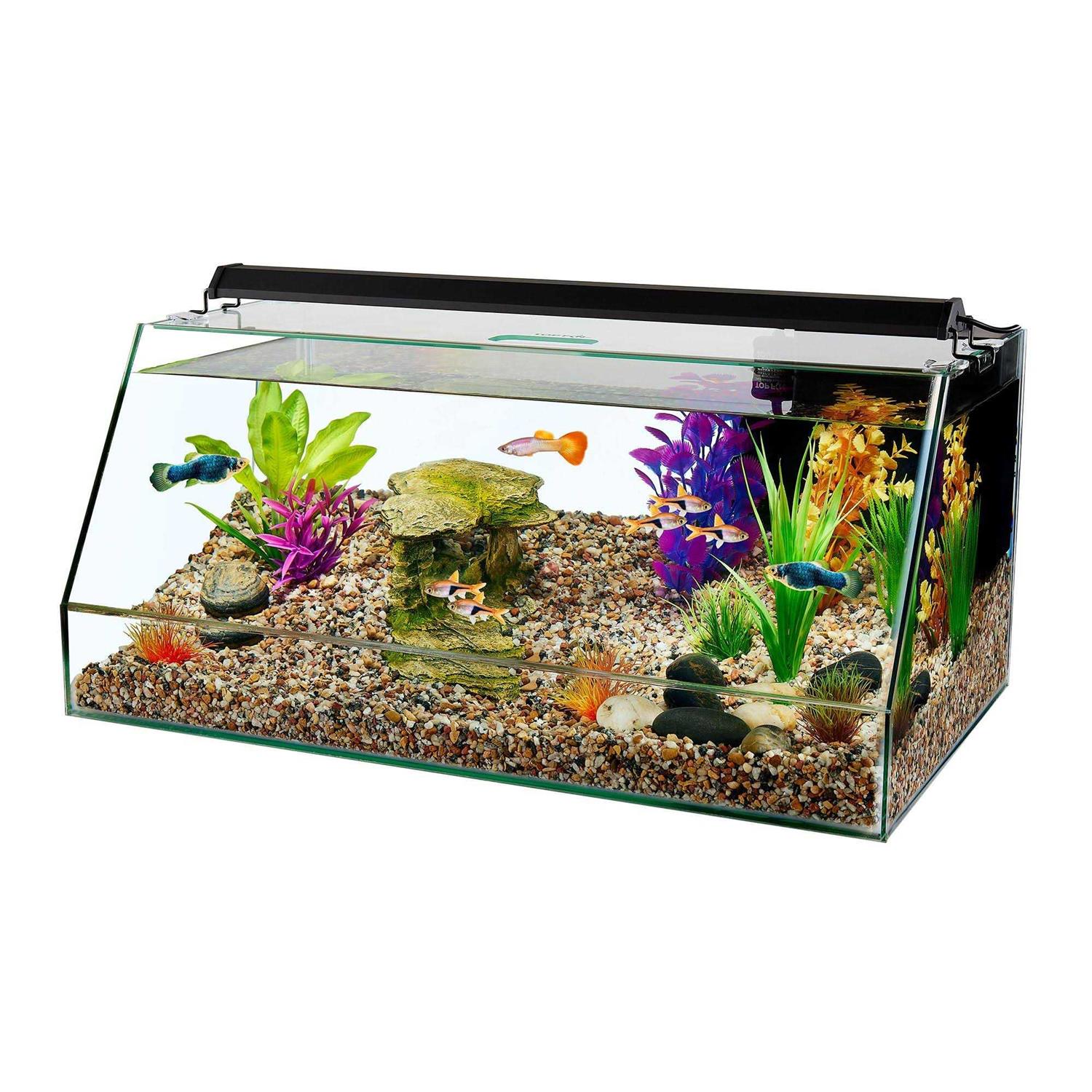 Top Fin Angledal Aquarium - Healthber