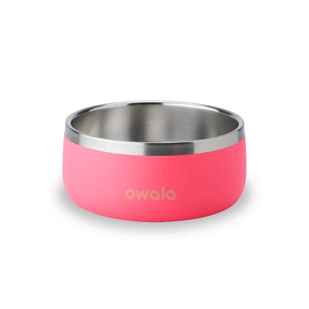 Owala Pet Bowl Durable Stainless Steel Food & Water Bowl Pink - Healthber