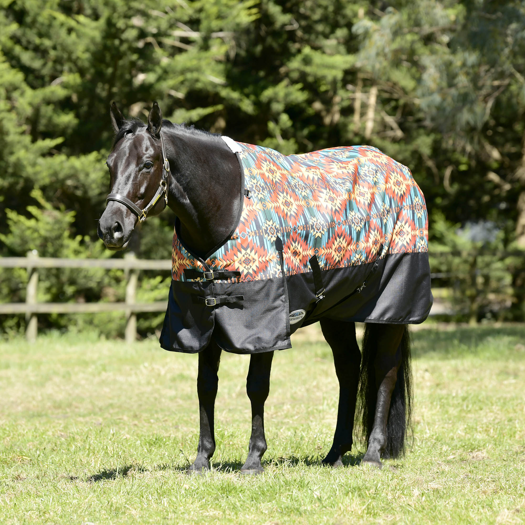 WeatherBeeta ComFITec Essential Standard Neck Turnout Blanket, Medium, Western Sunset Print - Healthber