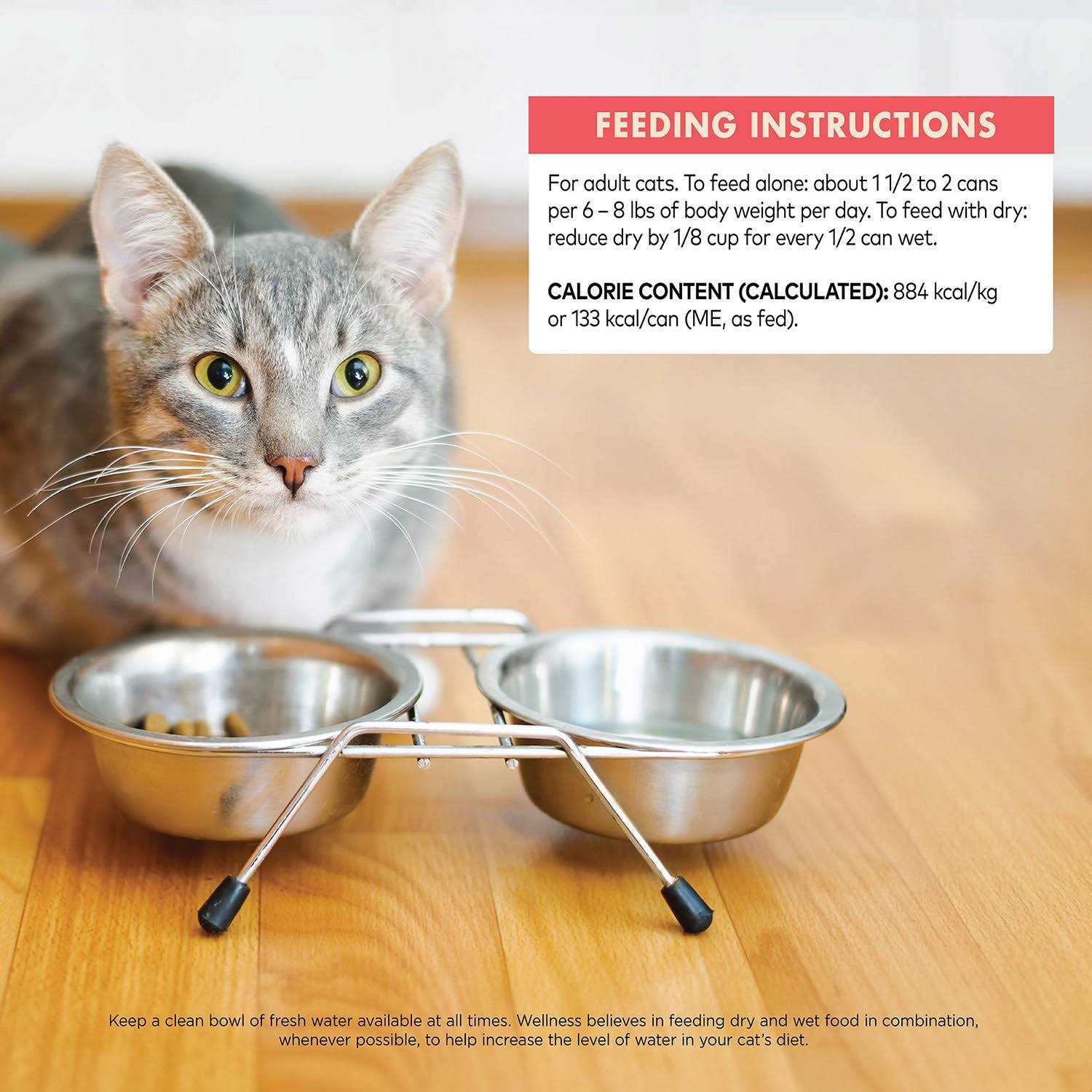 Wellness Signature Selects Grain Free Flaked Skipjack Tuna & Wild Salmon Entree Canned Cat Food - Healthber