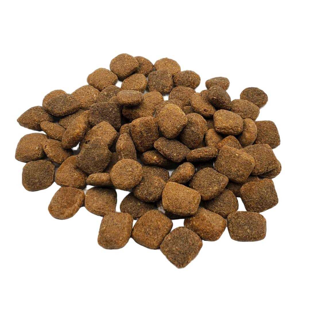 Rawz Meal Free Chicken & Turkey Dry Dog Food - Healthber