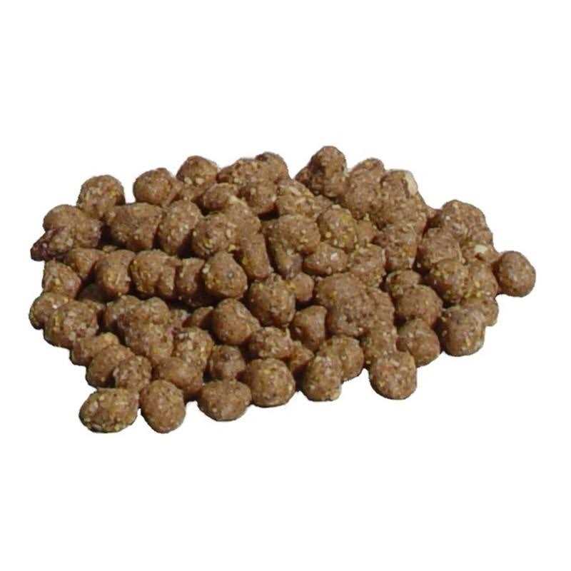 C&S Peanut Suet Nuggets - Healthber