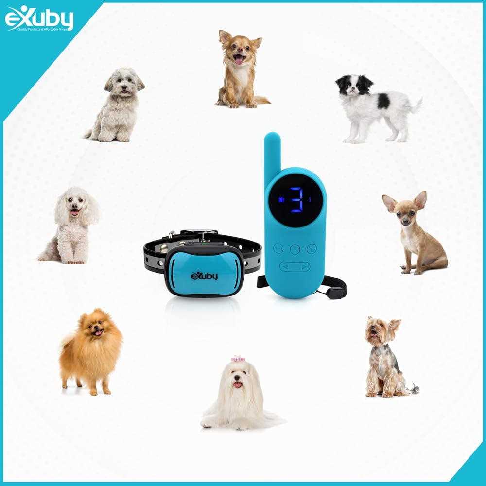 Exuby Tiny Shock Collar for Small Dogs 5-15lbs Smallest Collar on The Market - Healthber