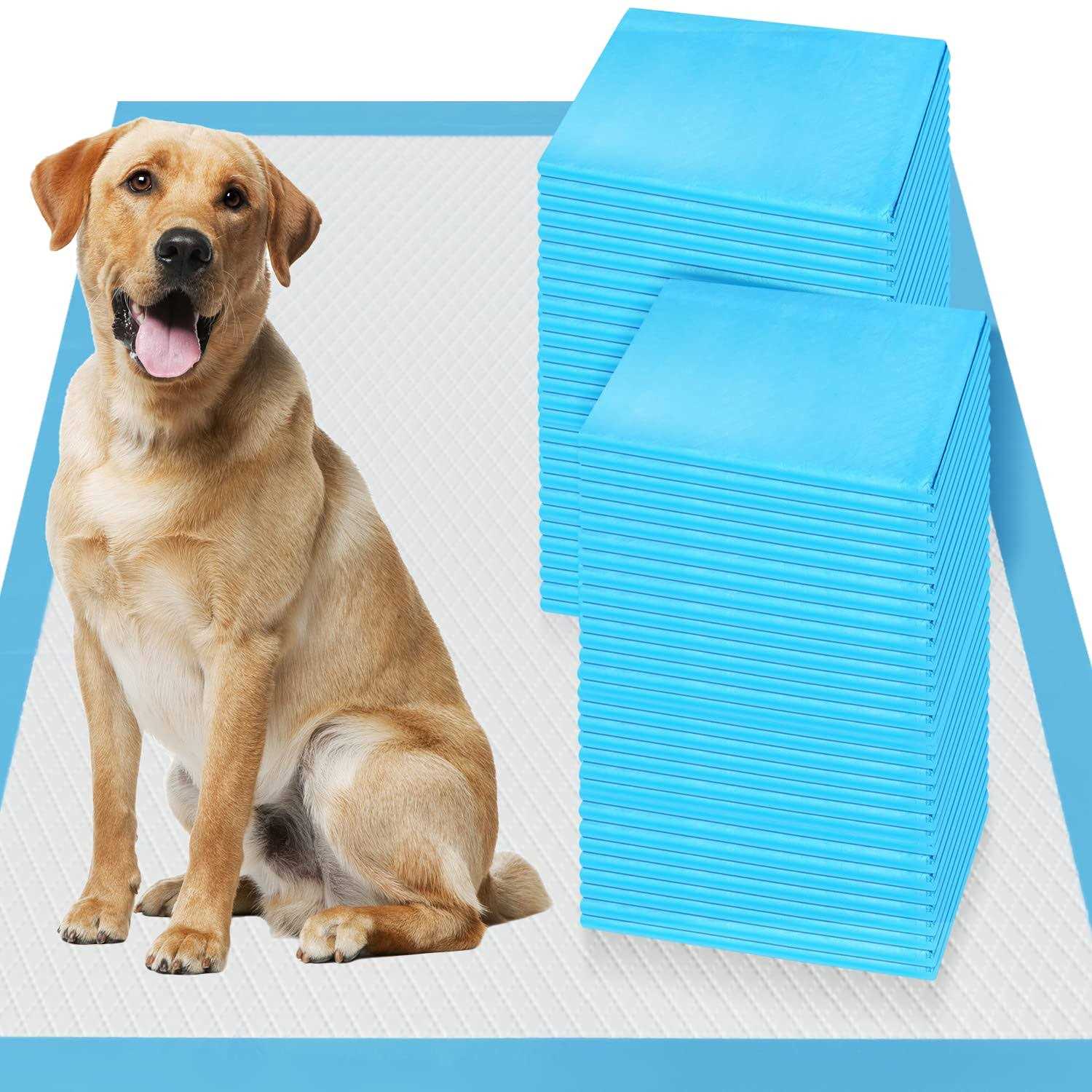 Boscute Thicken 6 Layers Heavy Absorbent XXL 30×36 Pet Training Dog Pee Pads - Healthber