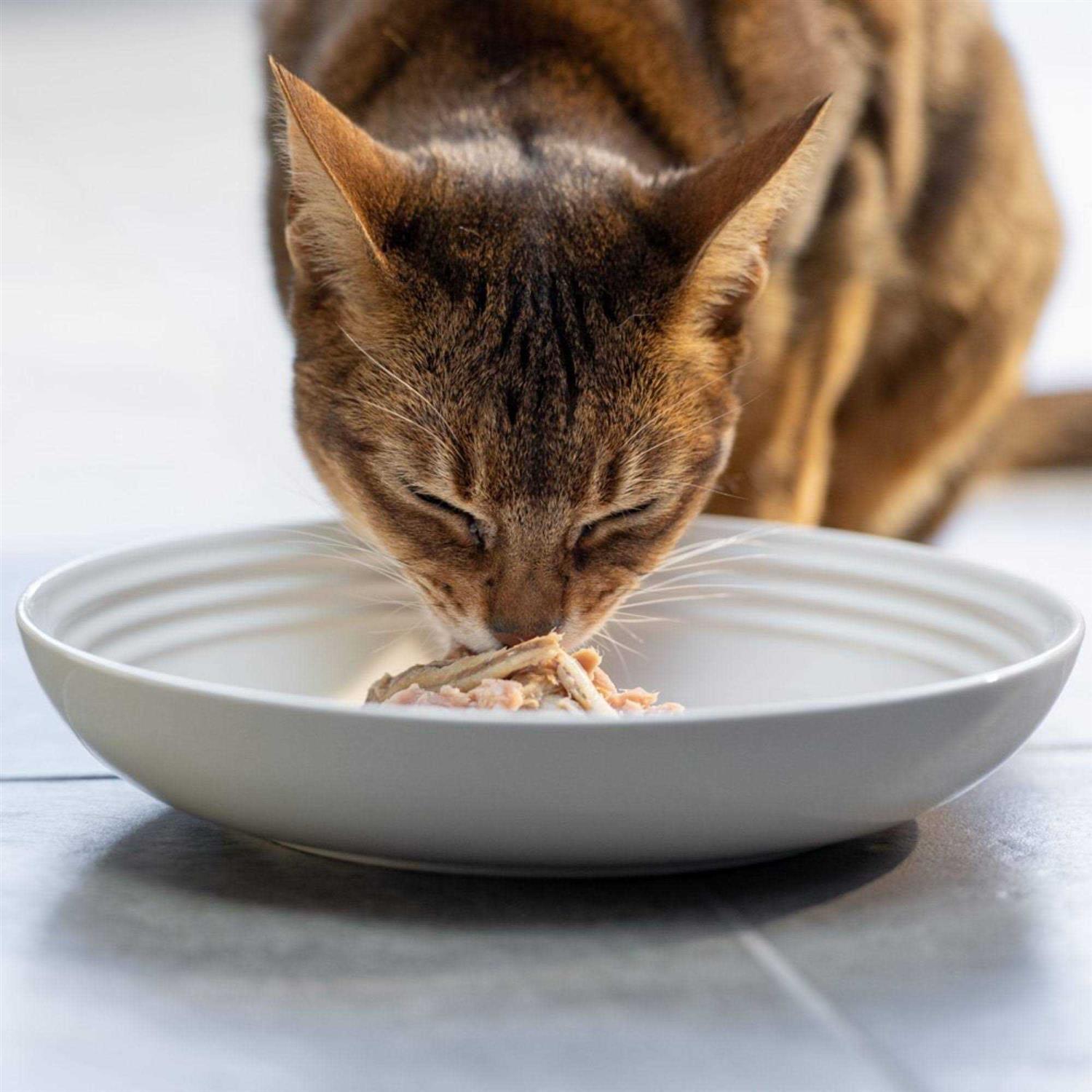 Reveal Natural Wet Cat Food Fish Variety Pack in Broth - Healthber