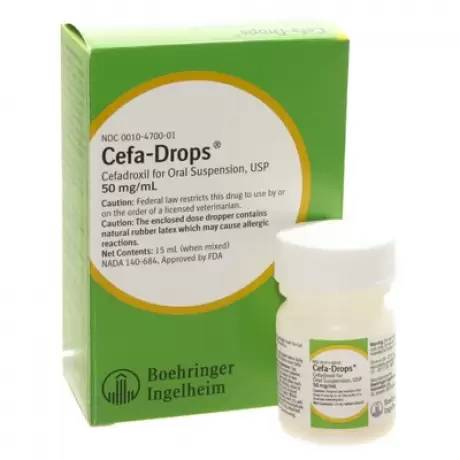 Rx Cefa-Drops (cefadroxil) for Cats & Dogs, 50mg/ml x 15ml - Healthber