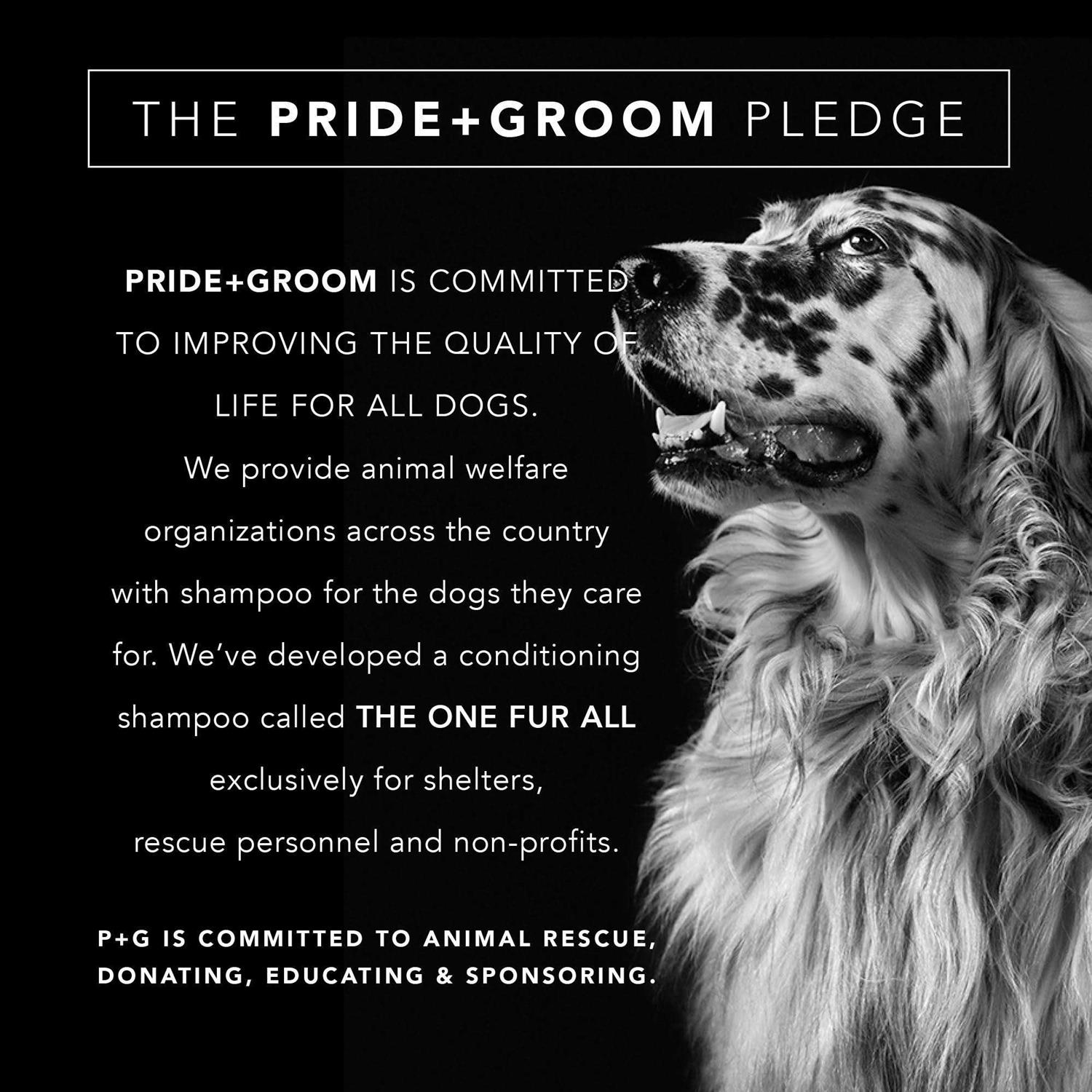 PRIDE+GROOM Dog Conditioner The Final Coat - Healthber