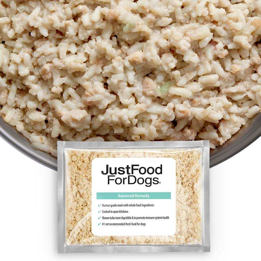 JustFoodForDogs Diets Balanced Remedy Frozen Dog Food - Healthber