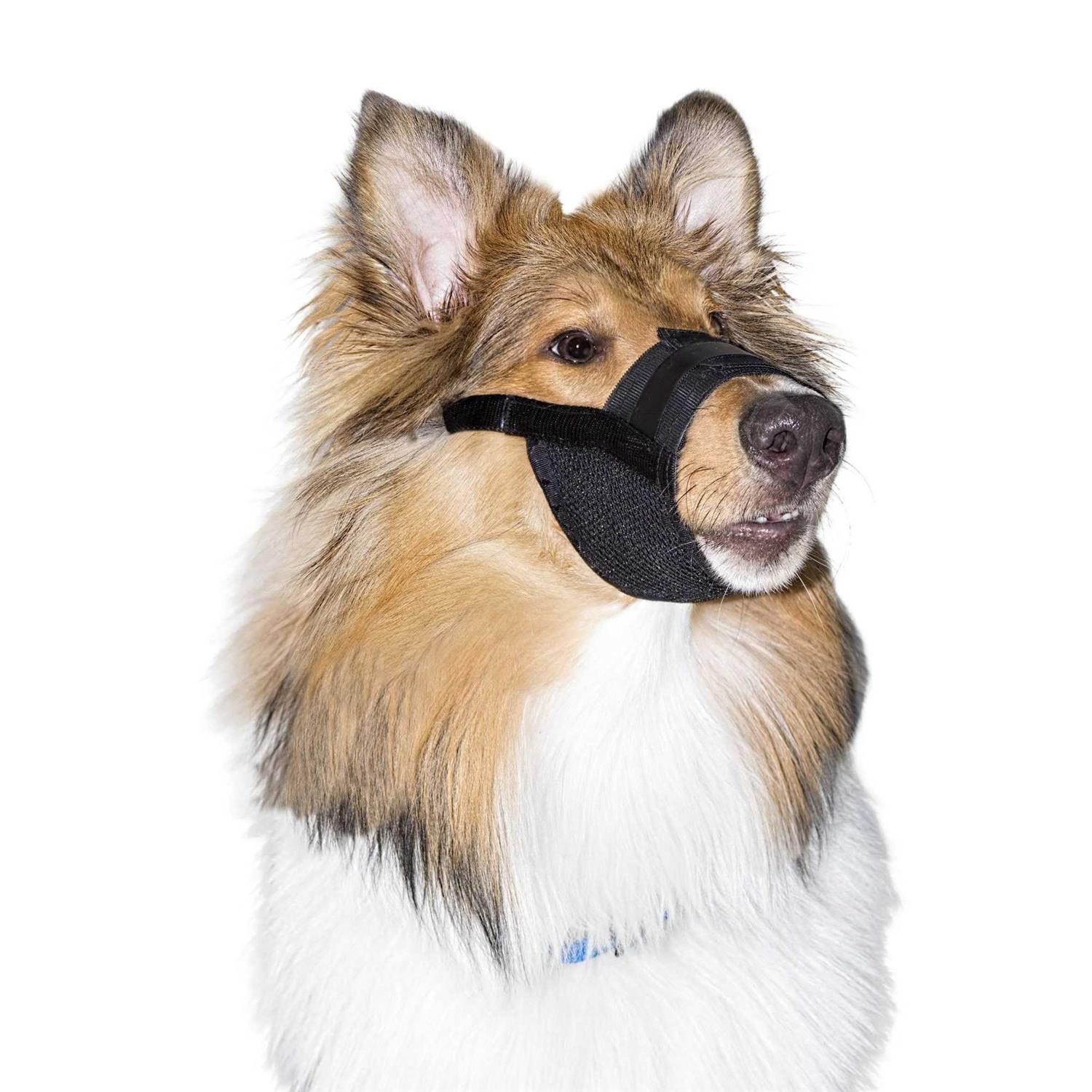 PetSafe Dog Muzzle - Healthber