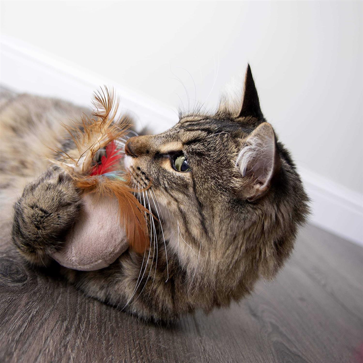 SmartyKat Chit Chatter Electronic Sound Cat Toy - Healthber
