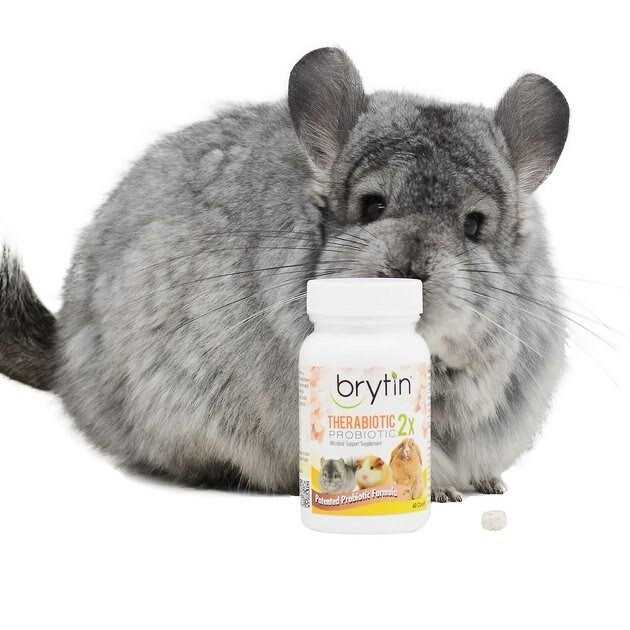 Brytin TheraBiotic 2X Probiotic Microbial Support Supplement - Healthber