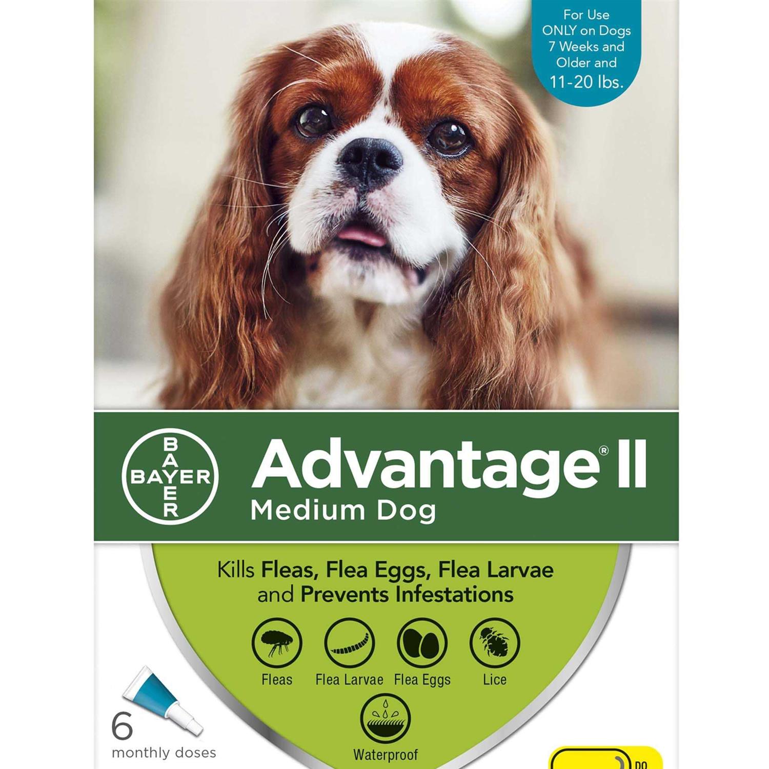 Advantage II for Dogs - Healthber