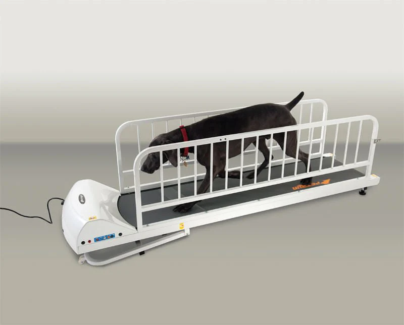PetRun Large Breed Treadmill (PR725) - Healthber