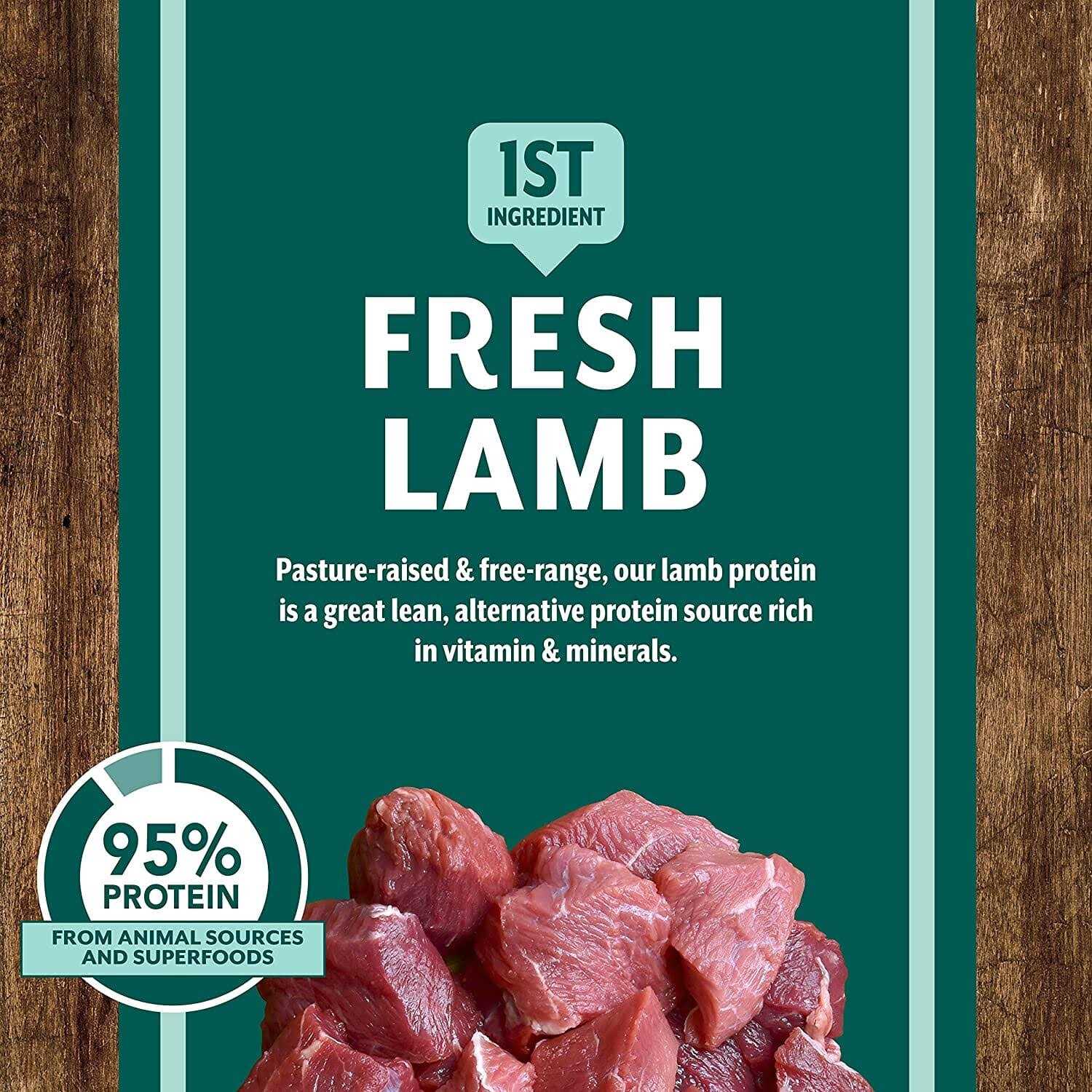Earthborn Holistic Venture Roasted Lamb & Butternut Squash Limited Ingredient Diet Grain-Free Dry Dog Food - Healthber