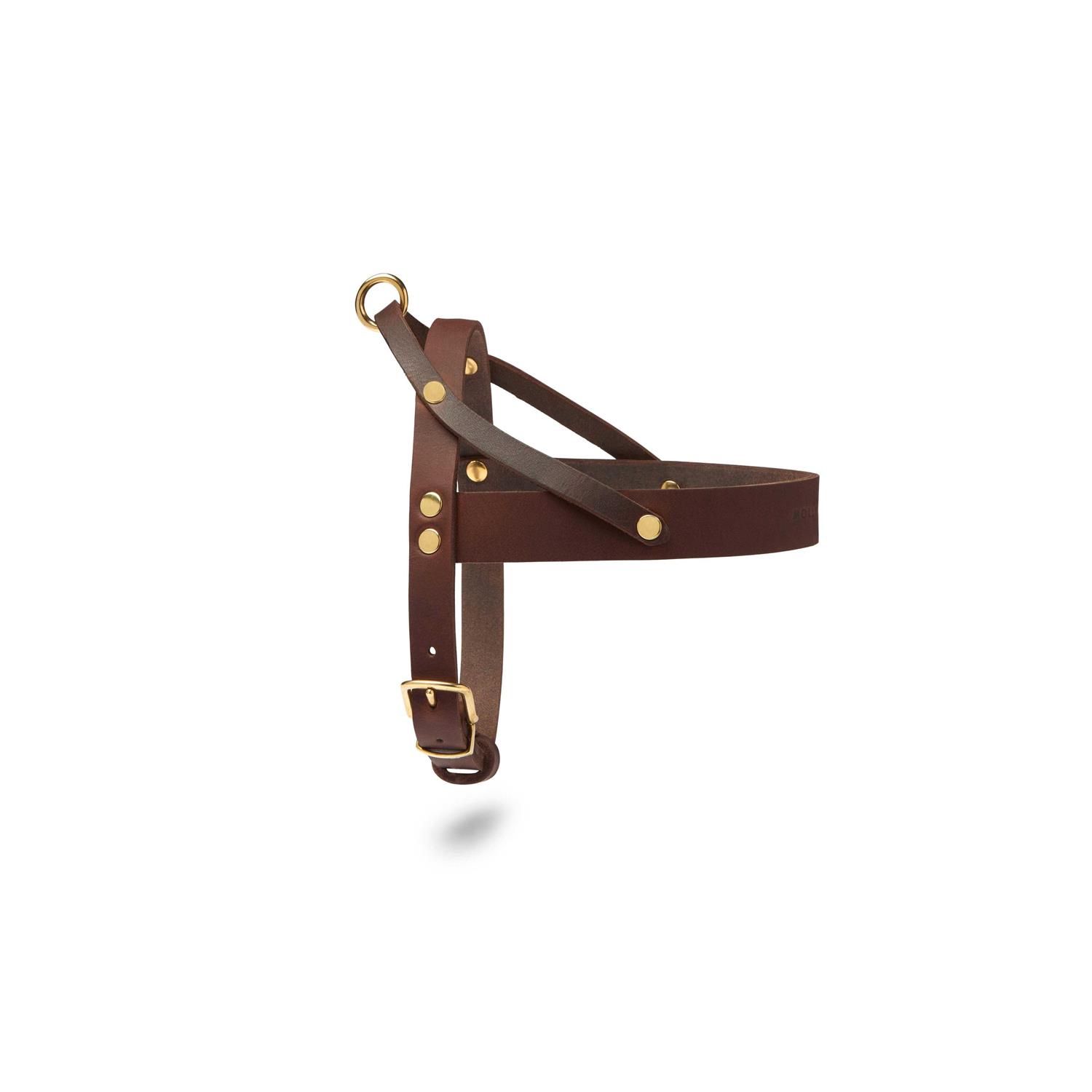 Butter Leather Dog Harness Molly And Stitch US - Healthber