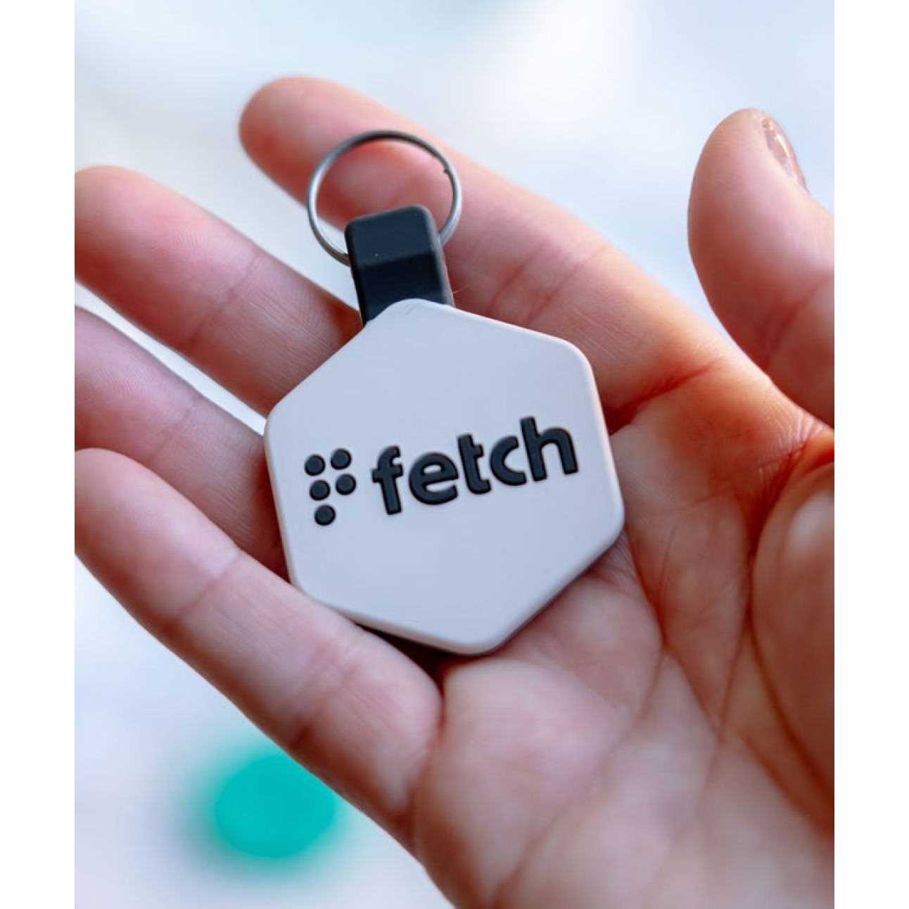 Lifekey Fetch Digital Pet ID Tag - Healthber