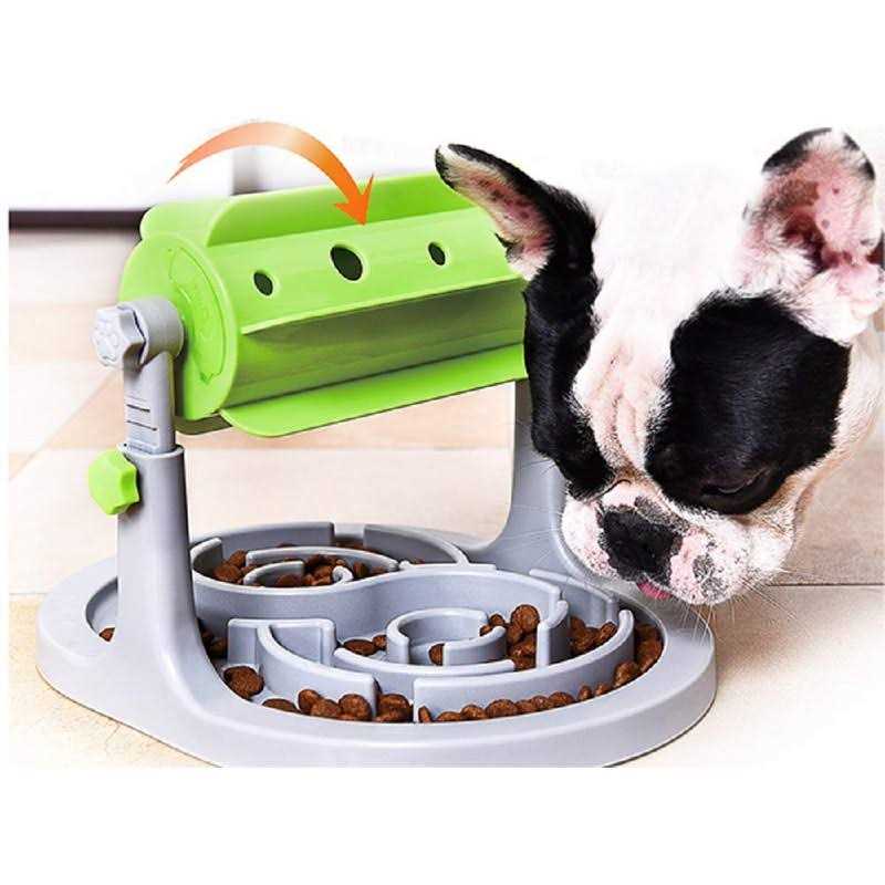 Interactive Dog & Cat Food Puzzle Toy Ito Rocky Treat Boredom Dispensing Slow Feeder - Healthber