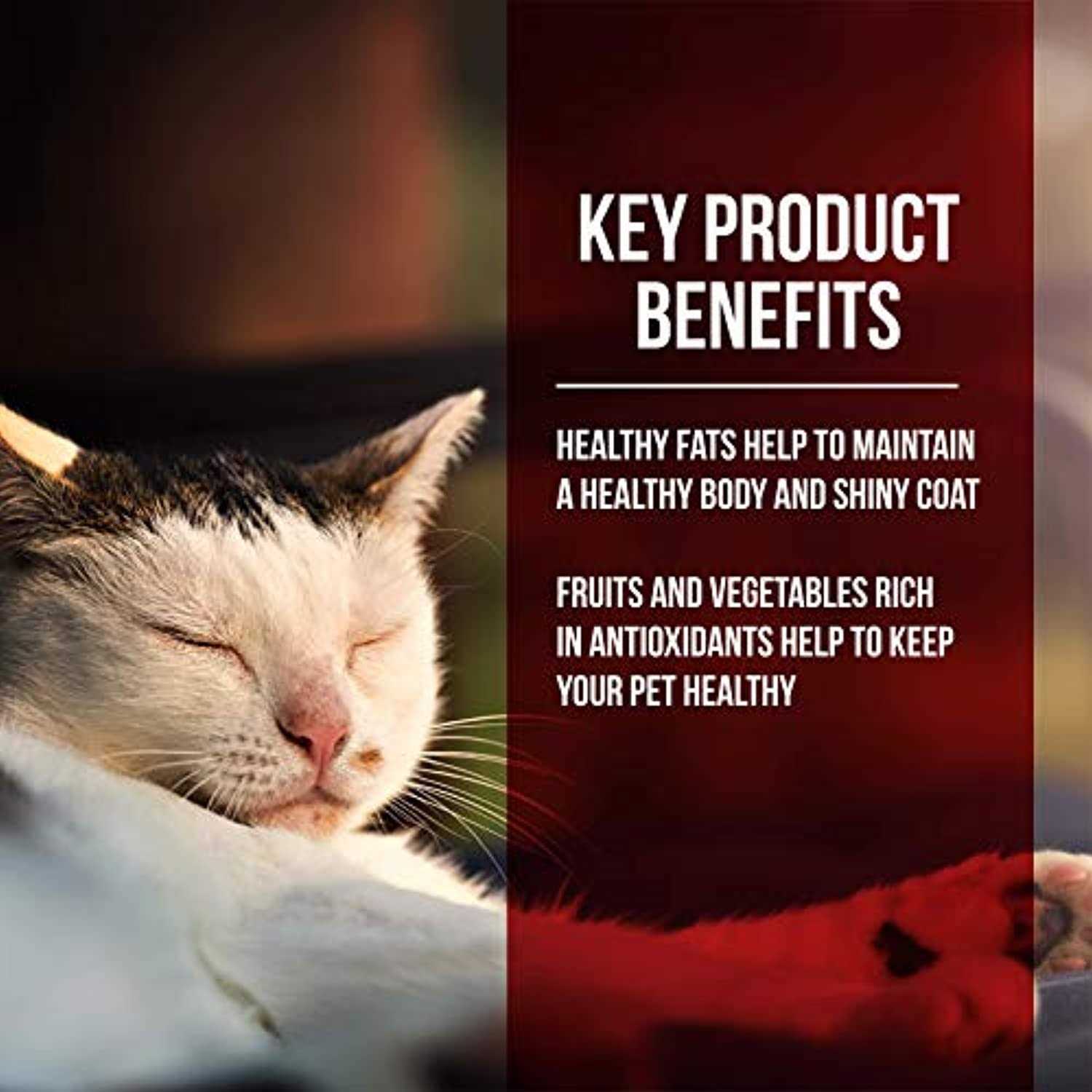 Fussie Cat Dry Cat Food Market Fresh Chicken Turkey - Healthber
