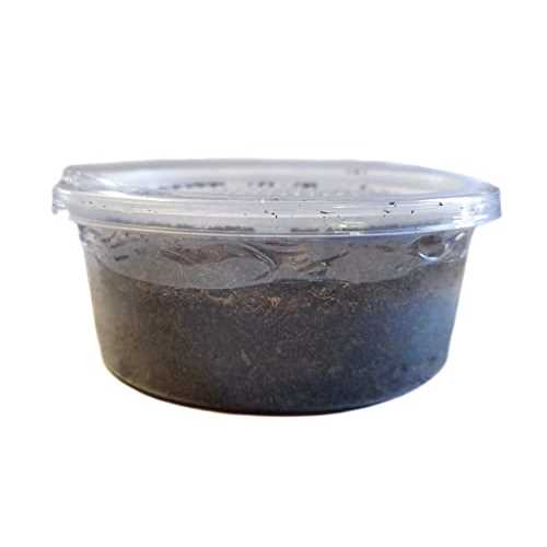 Josh’s Frogs Canadian Nightcrawlers/Earthworms Live Feed Reptile Food, 12 count - Healthber