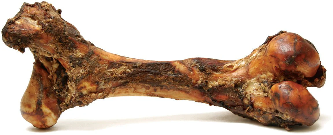 Jumbo Beef Bone for Medium to Large Dogs - Healthber