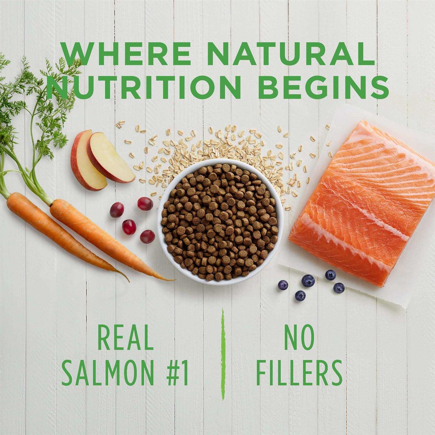 Instinct Be Natural Chicken & Brown Rice Recipe Dry Dog Food - Healthber