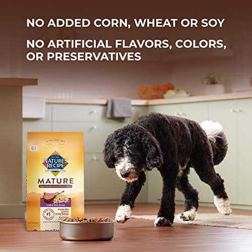 Nature’s Recipe Mature Dry Dog Food - Healthber