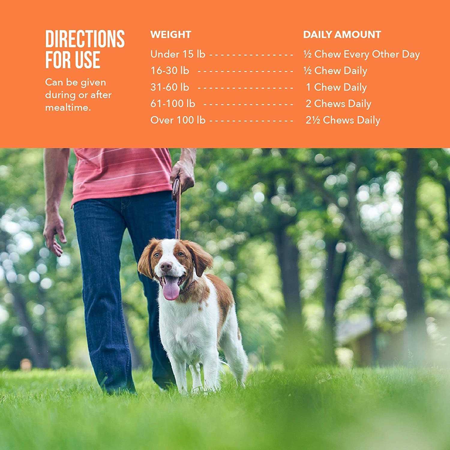 Synovi G4 Joint Supplement Soft Chews for Dogs - Healthber