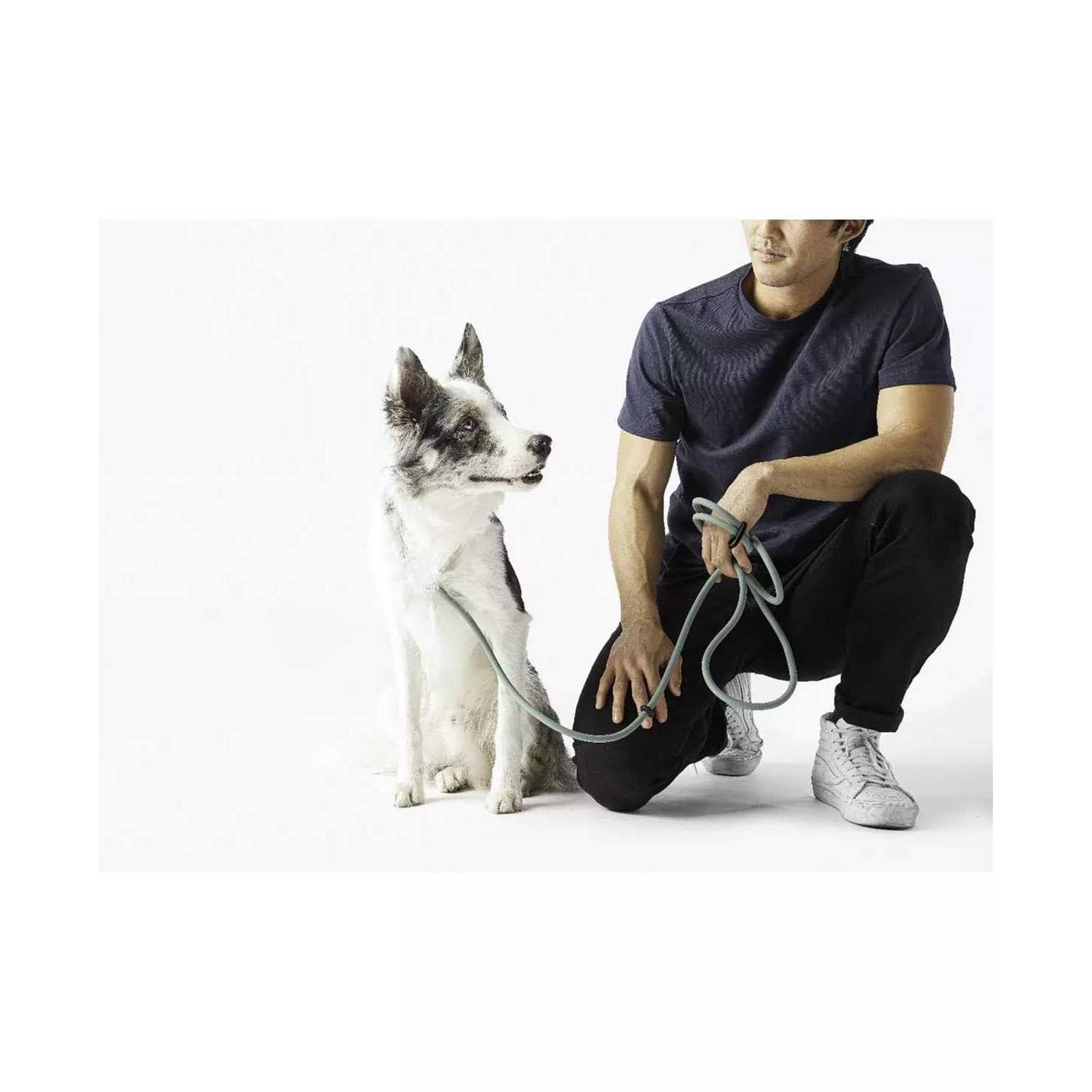 Fable Pets Magic Link Hands-Free Dog Leash - Healthber